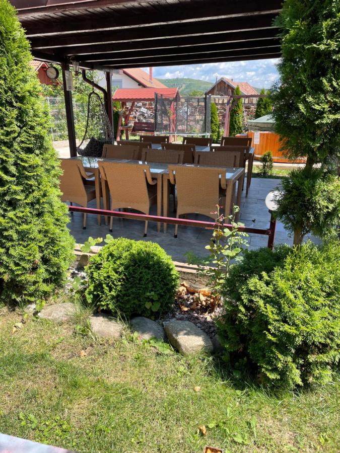 Pensiunea Casa Rica Călimăneşti Kültér fotó