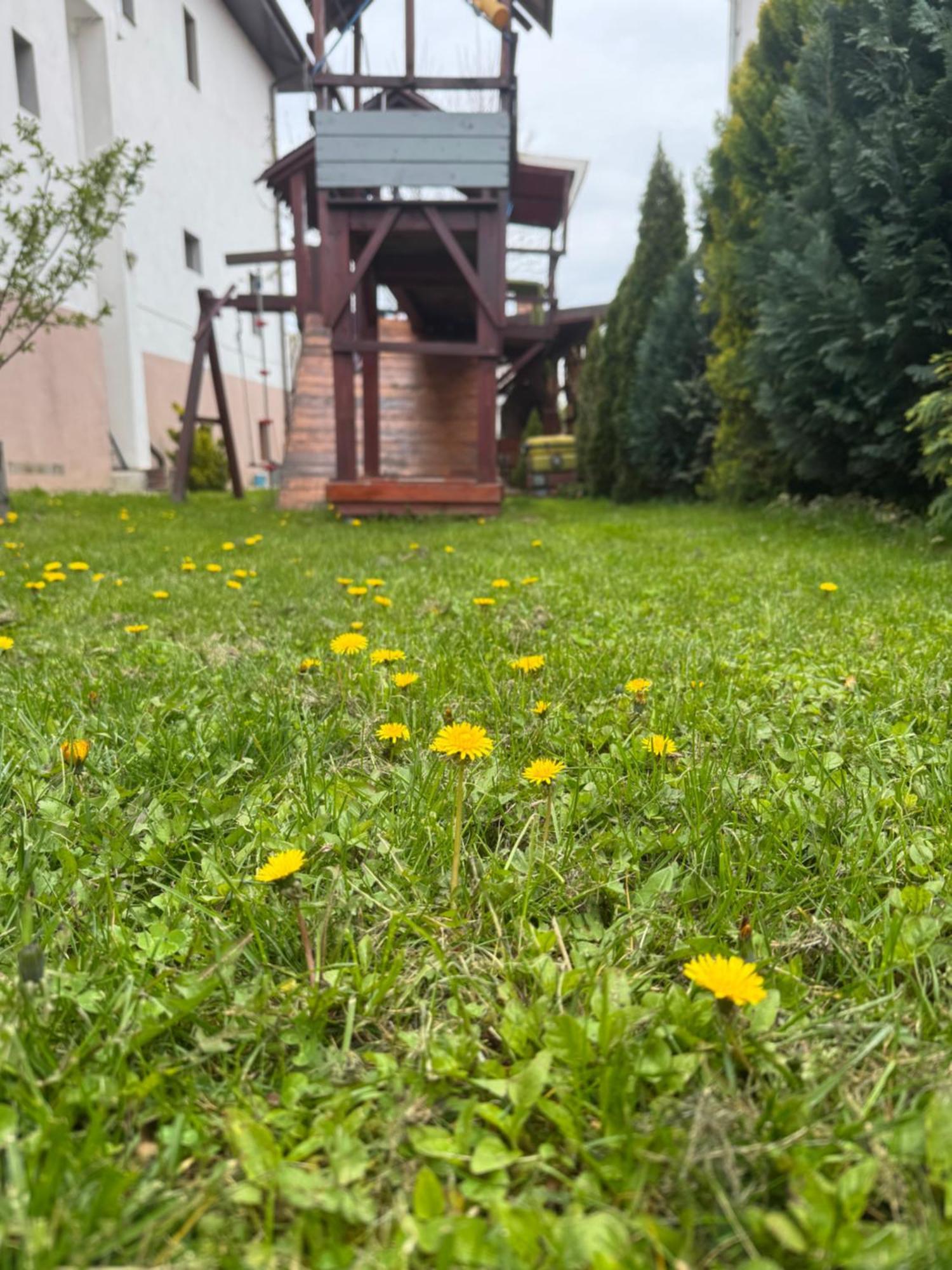 Pensiunea Casa Rica Călimăneşti Kültér fotó